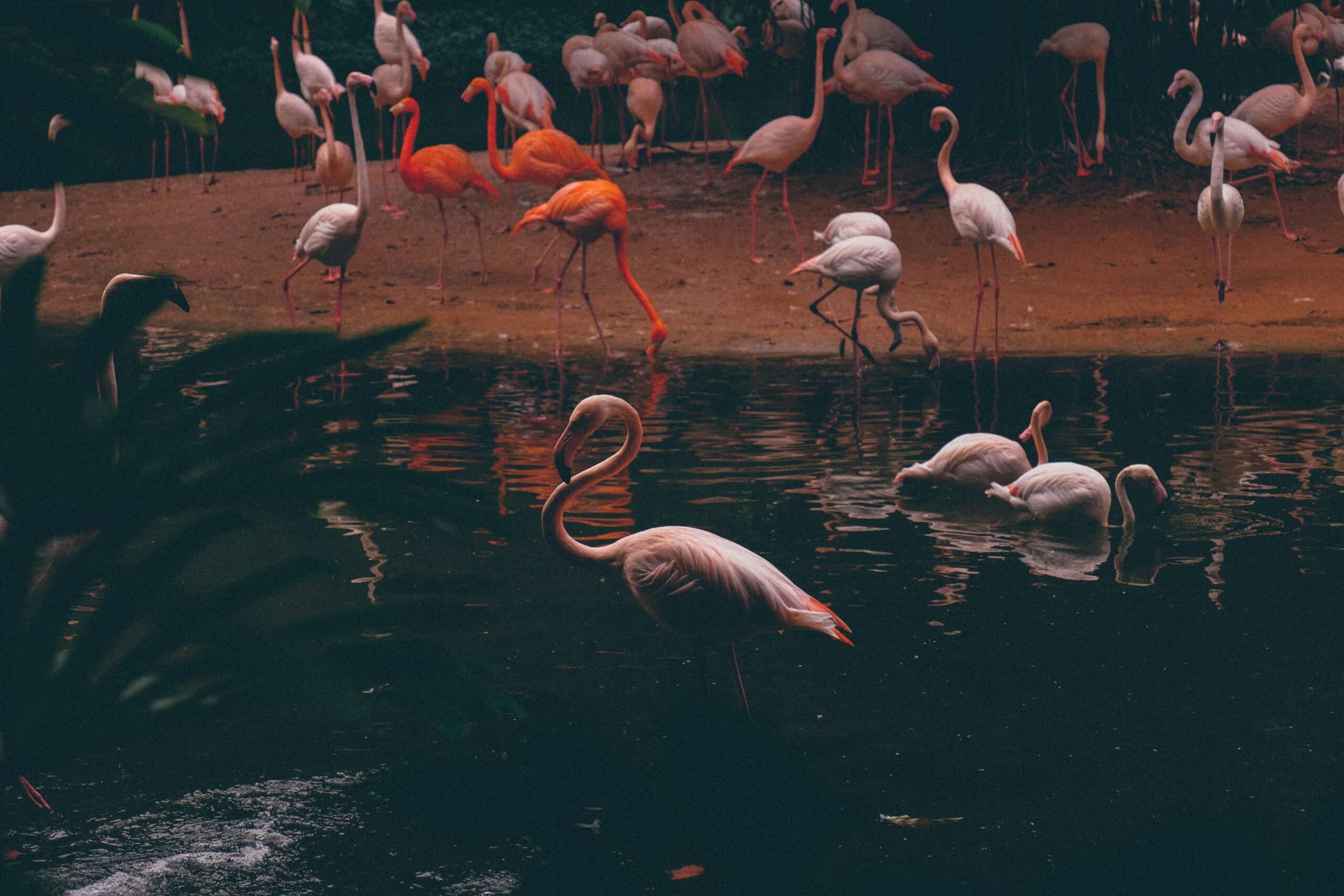 The Stunning French Town On A Bright Pink Lake